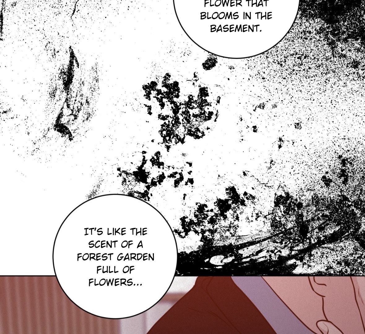 62127015 1179 1080 475004